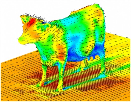 CFD